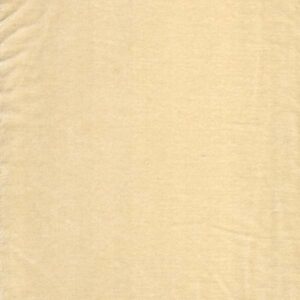 Cotton Velvet Ivory