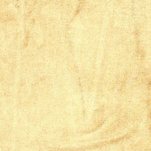 Cotton Viscose Velvet Butter Cup