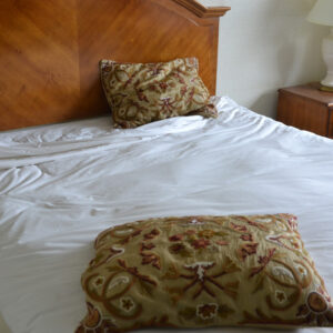 Crewel Pillow Art Nouveau Desert Sand Silk Organza Standard20x26