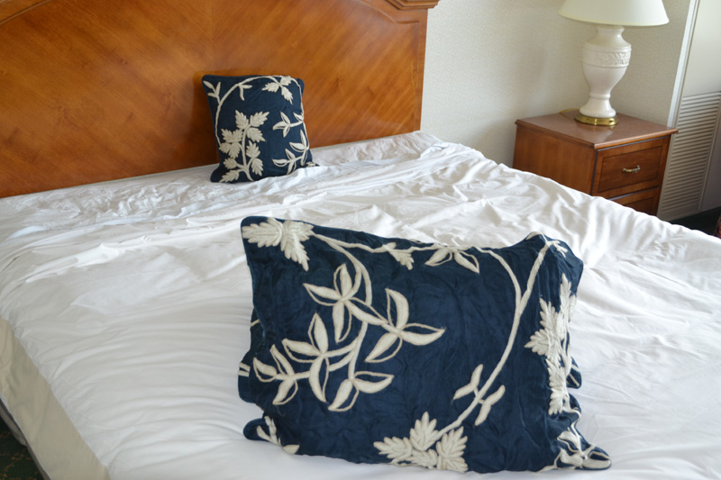 Crewel Pillow Starry Night Deep Blue Silk Organza